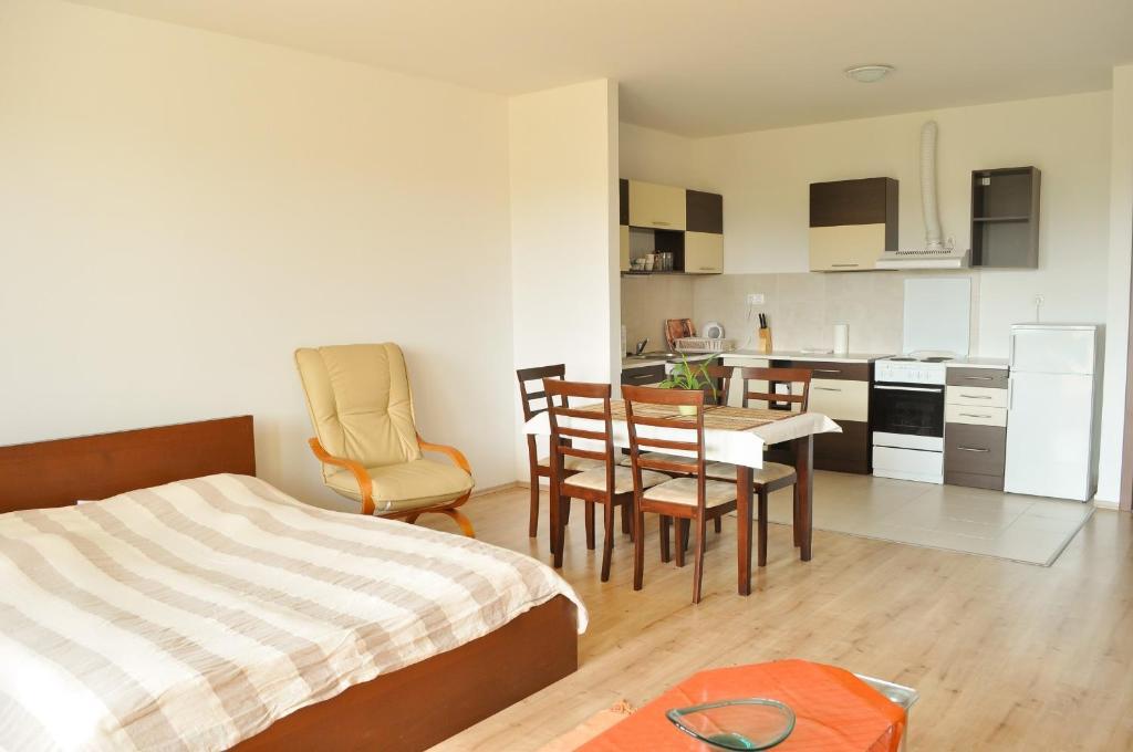 Tisza Palota Apartmanok Szeged Rom bilde